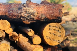 ÖSÖBDER'in Hatay'daki Fidam Ekim Etkinliği