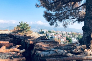 ÖSÖBDER'in Hatay'daki Fidam Ekim Etkinliği
