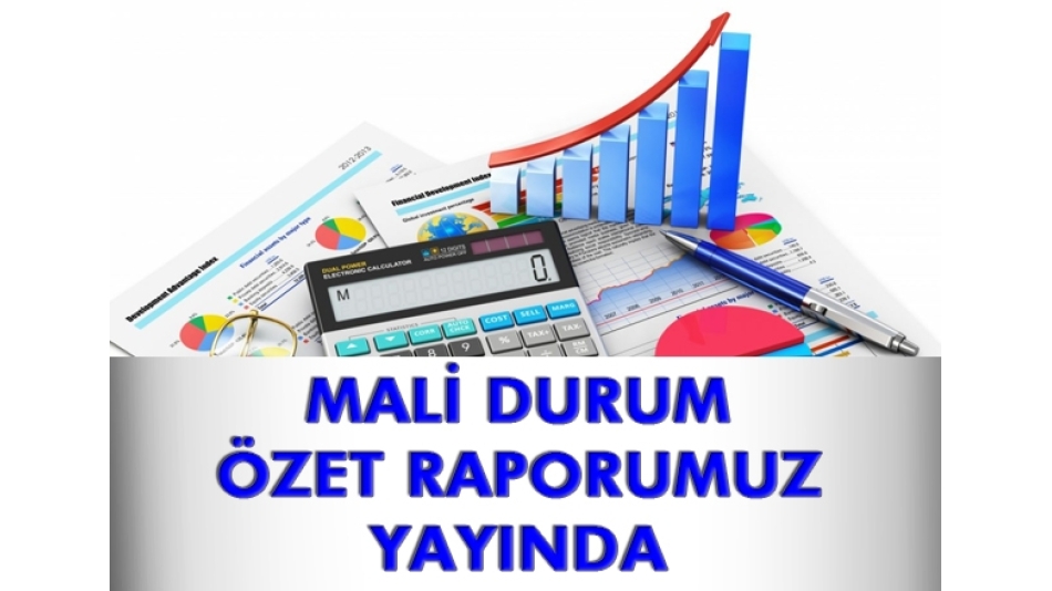 Derneğimizin Mali Durum Özet Raporları